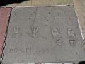 Hollywood P1020208